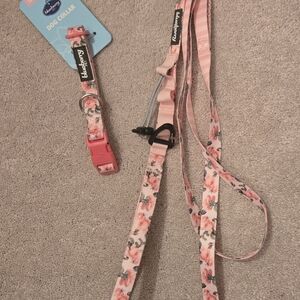 Floral Dog Collar and Leash Set - Pink Roses Blueberry Pet Leash Small Collar